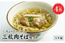 〈太生麺〉ちょーでーぐぁ 沖縄そば(三枚肉)4食セット【1522921】