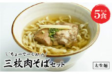 〈太生麺〉ちょーでーぐぁ 沖縄そば(三枚肉)5食セット【1522926】