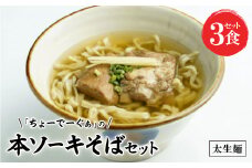 〈太生麺〉ちょーでーぐぁ 沖縄そば(本ソーキ)3食セット【1522953】