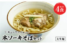 〈太生麺〉ちょーでーぐぁ 沖縄そば(本ソーキ)4食セット【1523010】