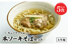 〈太生麺〉ちょーでーぐぁ 沖縄そば(本ソーキ)5食セット【1523012】