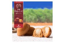 エーデルワイス沖縄「沖縄 島果のしずく(黒糖フィナンシェ)」1箱20個入【1543747】