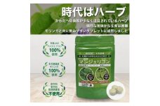 RESCUEマンジェリコンタブレット[モリンガ配合](250mg×90粒)【1550729】