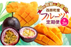 ＜発送月固定定期便＞沖縄の豊かな自然で育ったフルーツ定期便全3回_ 定期便 フルーツ 果物 ふるーつ 沖縄 パッションフルーツ アーウィンマンゴー キーツマンゴー 贈答 ギフト 人気 おすすめ 【4058900】