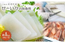 セーイカ お刺身用 約1kg(200g×5柵)【1564825】