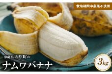 西原町の栽培期間中農薬不使用のナムワバナナ3kg【1616143】