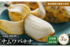 ＜毎月定期便＞西原町の栽培期間中農薬不使用のナムワバナナ3kg全3回【4069633】