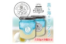 こだわりの「美らプリン」130g×9個入り【1389861】