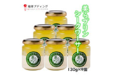 こだわりの「美らプリン(シークワーサー)」130g×9個入り【1389874】