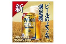 オリオンビール オリオン麦職人(350ml×24本)【1388001】