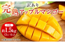 ＜2025年発送＞<ご家庭用・訳あり>完熟アップルマンゴー約1.5kg(白箱)3玉～6玉【1390899】