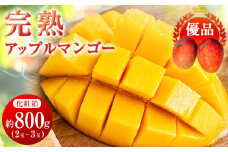 ＜2025年発送＞<優品>完熟アップルマンゴー約800g(化粧箱)2玉～3玉【1390897】