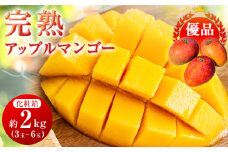 ＜2025年発送＞〈優品〉完熟アップルマンゴー約2kg(化粧箱)3玉～6玉【1390905】