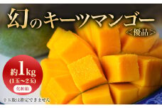 ＜2025年発送＞<優品>幻のキーツマンゴー約1kg(化粧箱)1玉～2玉【1390923】
