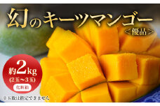 ＜2025年発送＞<優品>幻のキーツマンゴー約2kg(化粧箱)2玉～3玉【1390927】