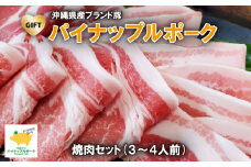 ＜ギフト・贈答＞パイナップルポーク焼肉セット(3～4人前)【1386174】