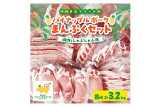 パイナップル ポーク まんぷくセット[ ロース・バラ・肩ロース・モモ ] 焼肉 & しゃぶしゃぶ_ 豚肉 肉 お肉 人気 美味しい 【1386182】