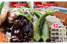 ビーフシチュウと欧風カレー12食セット(各6食ずつ)【1389407】
