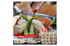 沖縄県豚パイナップルポーク欧風カレー12食セット【1389411】