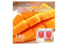 与那原町産の完熟マンゴー1kg(2～3玉)【1408915】