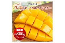 ＜2025年発送＞〈ご家庭用〉完熟アップルマンゴー約800g(白箱)2玉～4玉【1439150】