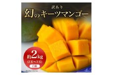 ＜2025年発送＞〈ご家庭用・訳あり〉幻のキーツマンゴー約2kg(白箱)2玉～3玉【1439153】