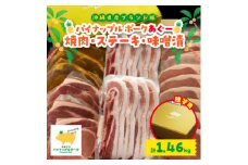 ＜贈答用＞パイナップルポークあぐー 焼肉・ステーキ・味噌漬セット(総重量1.46kg)【1454349】