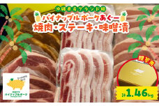 ＜贈答用＞パイナップルポークあぐー 焼肉・ステーキ・味噌漬セット(総重量1.46kg)【1454349】