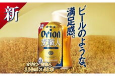 オリオンビール オリオン麦職人(350ml×48本)【1472510】