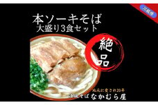 本ソーキそば(細麺・大盛3食セット)沖縄そば【1470998】