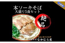 本ソーキそば(細麺・大盛り5食セット)沖縄そば【1471009】