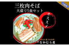三枚肉そば(太麺・大盛り5食セット)沖縄そば【1471024】