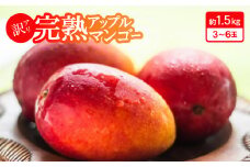＜2025年発送・訳アリ＞完熟アップルマンゴー約1.5kg(白箱)3玉～6玉【1546407】