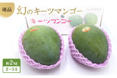 ＜2025年発送・優品＞幻のキーツマンゴー約2kg(2玉～3玉)【1546414】