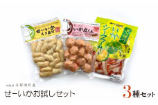 せーいかお試し3種セット(ちきあげ・いか丸くん・さっぱりいかシークヮーサー)【1550097】