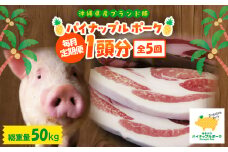 ＜毎月定期便＞沖縄県産ブランド豚 パイナップルポーク1頭分(総重量50kg)全5回【4062977】