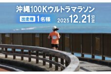 沖縄100Kウルトラマラソン 出走権1名様【1639821】