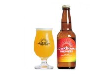 ＜AGARIHAMA BREWERY・クラフトビール＞金城マンゴーエール 6本セット【1660086】