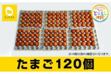 美ら卵養鶏場の新鮮で濃厚な卵【120個入り】