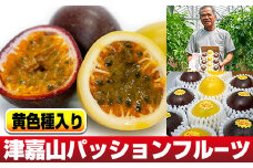 【2025年発送】津嘉山パッションフルーツ　黄色種入り　約1kg