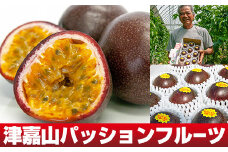 【2025年発送】津嘉山パッションフルーツ　約1kg