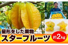 【2025年1月から順次発送】星形をした果物　スターフルーツ　約2kg