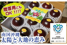 【2025年発送】南国の果物　パッションフルーツ　1kg　贈答用