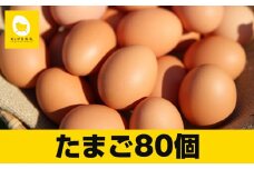卵の黄身が掴めるほどの新鮮さ　美ら卵養鶏場の卵【80個入り】