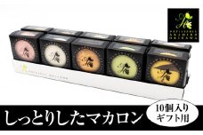 ＜AKAHIROオリジナル＞しっとりしたマカロン　10個入り（ギフト用）