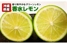 【2025年3月上旬から順次発送】沖縄県産　香り爽やかなグリーンレモン　香水レモン　1.2kg