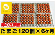 【定期便】6ヵ月連続お届け　美ら卵養鶏場の卵　各月120個