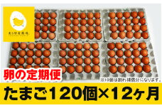 【定期便】12ヵ月連続お届け　美ら卵養鶏場の卵　各月120個