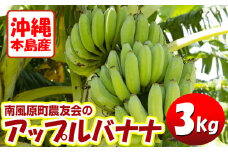 【希少】沖縄本島産 南風原町農友会の「アップルバナナ」　3kg