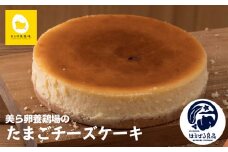 美ら卵養鶏場のたまごチーズケーキ